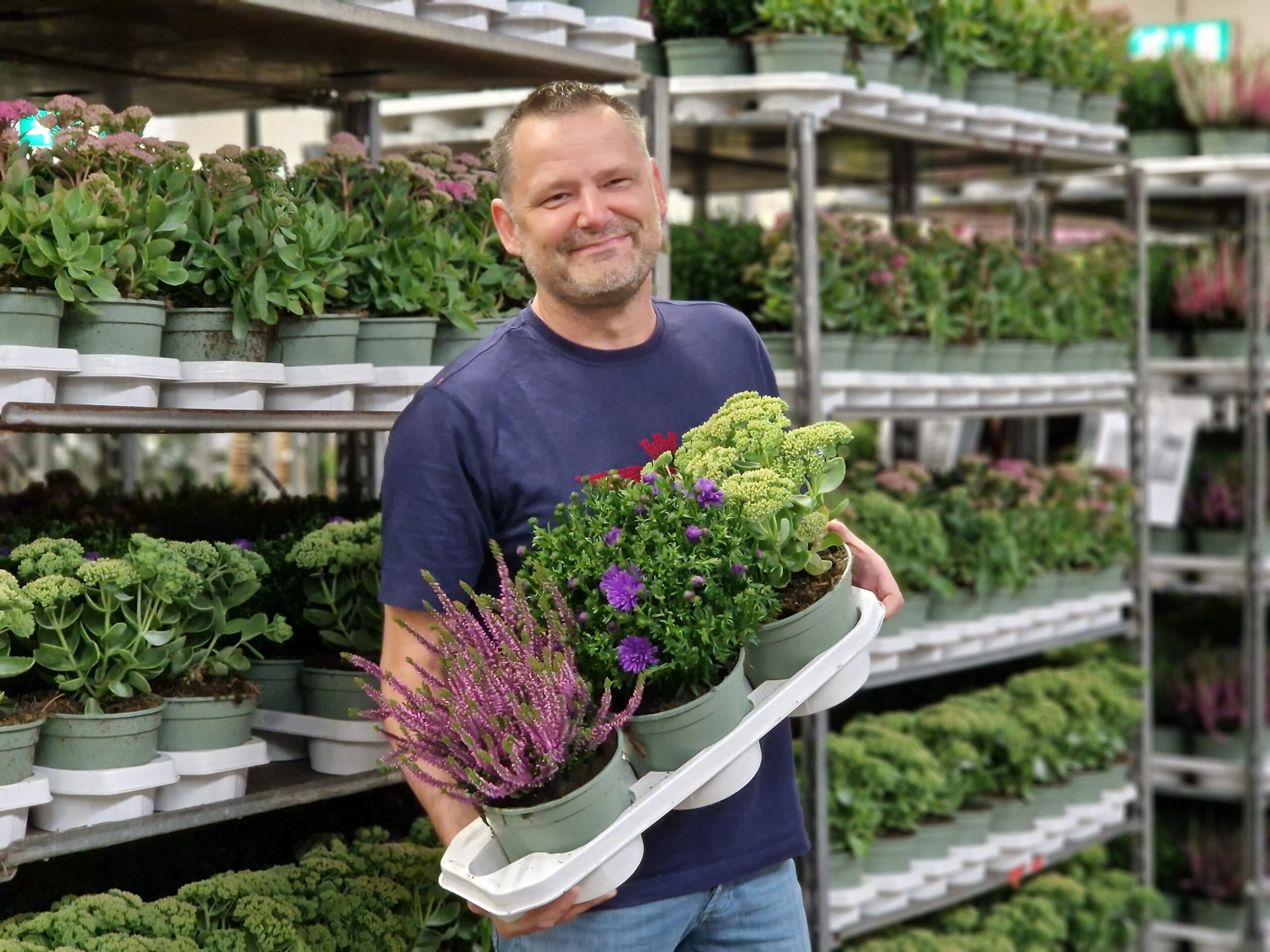 Retail Flowers and Plants - <p>Accountmanager planten</p>
