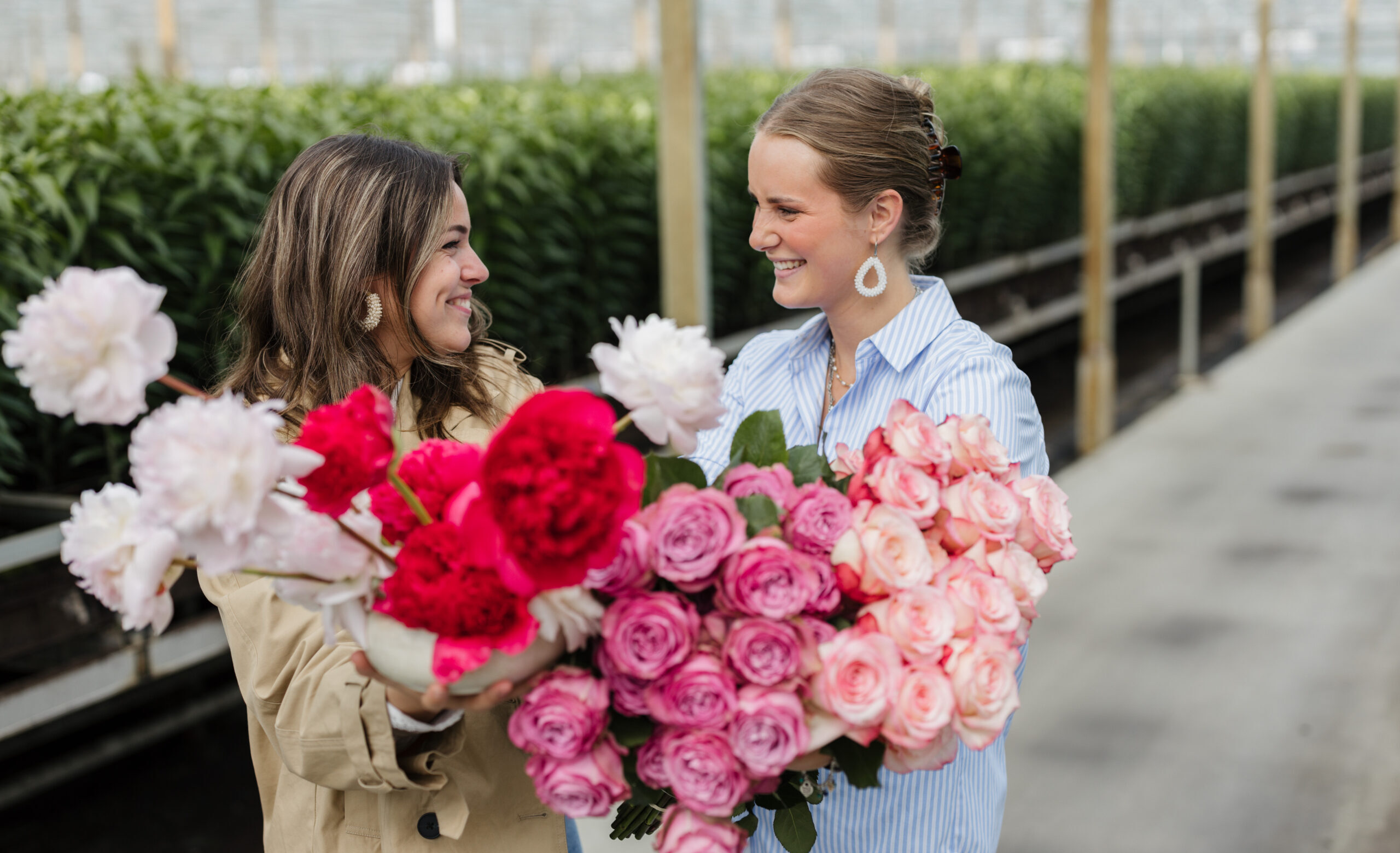 Van der Plas Group | A family of companies in the floral industry