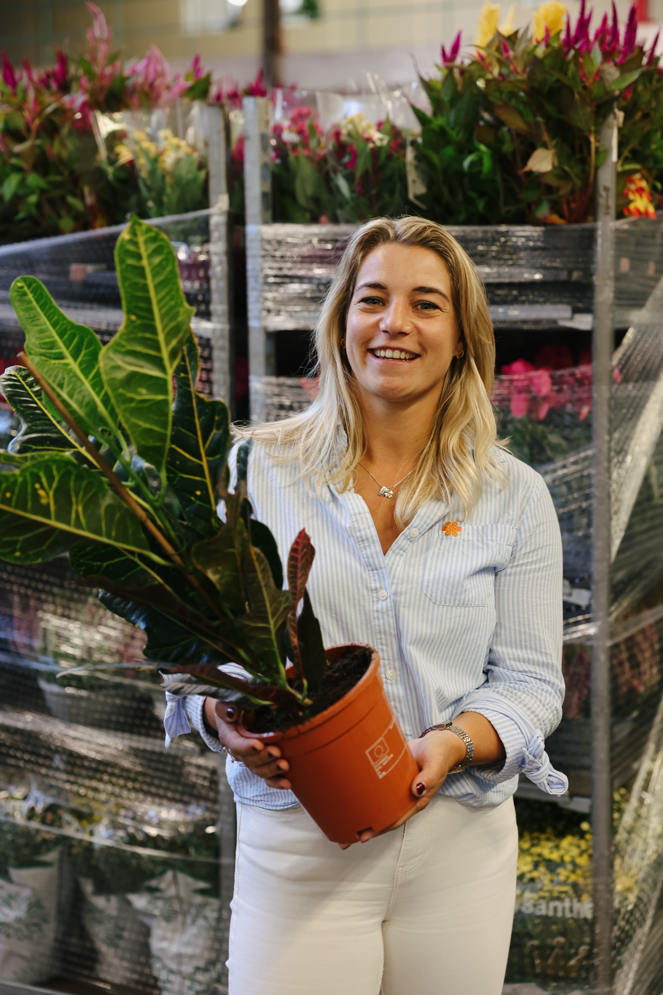 Retail Flowers and Plants - <p>Supply Chain Medewerker</p>
